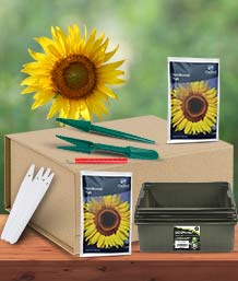 Seeds for Gifting & Seed Gifts UK | Party Save Smile
